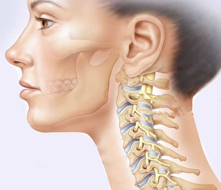 Cervical spine